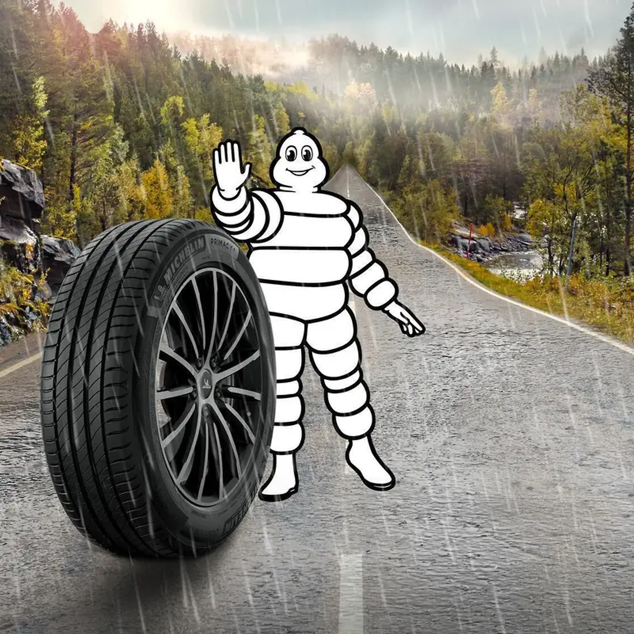 Neumáticos Estándar